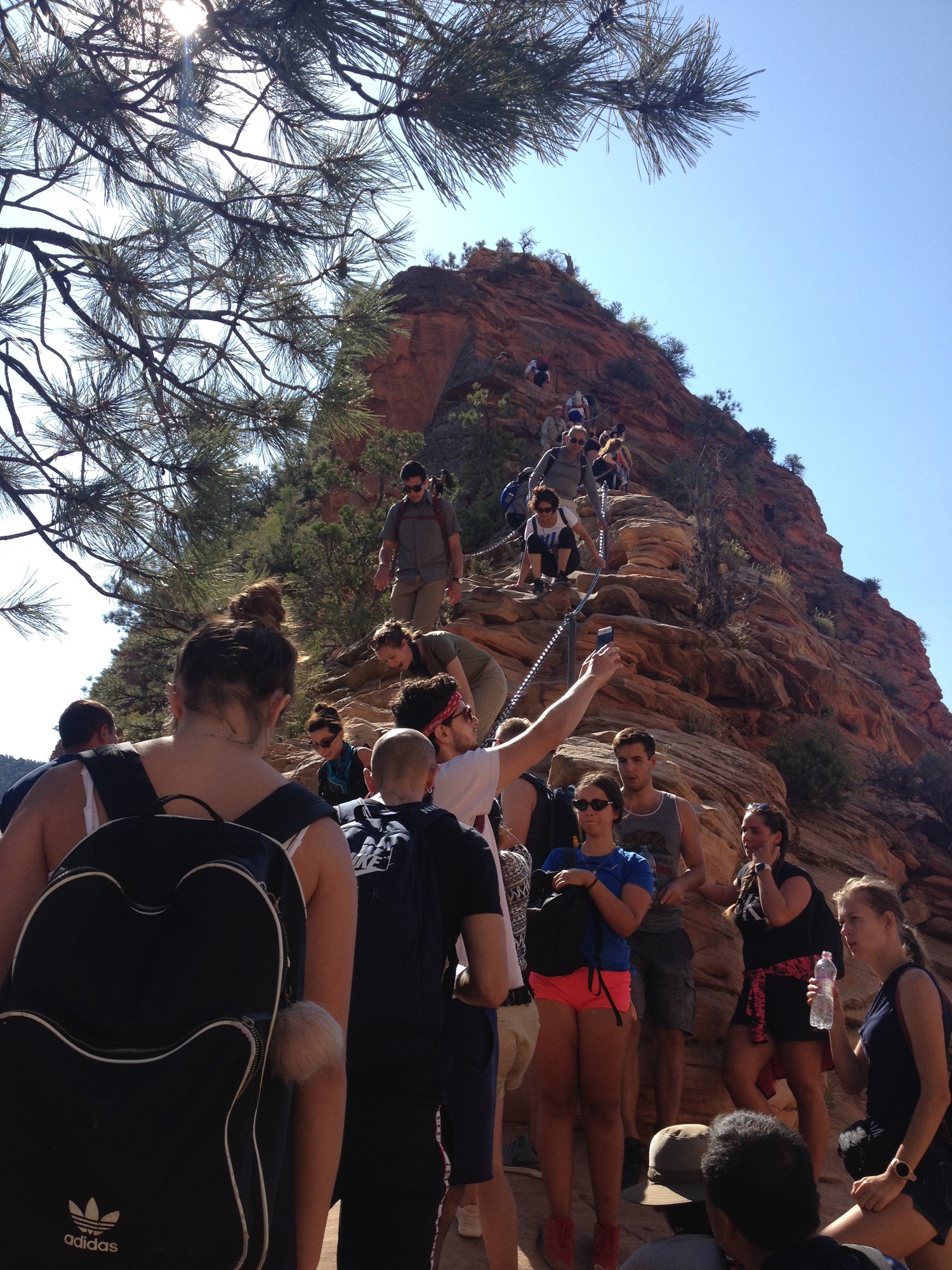 Angels Landing Experience: Is Zion's Thrilling Hike Worth the Risk?